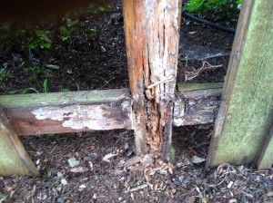 rotted fence posts and the cure